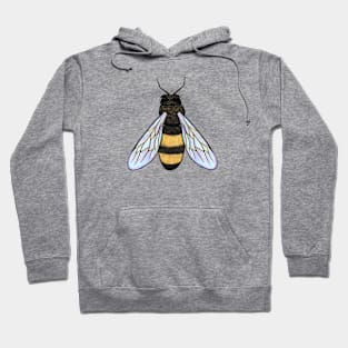 Bee Kind Hoodie